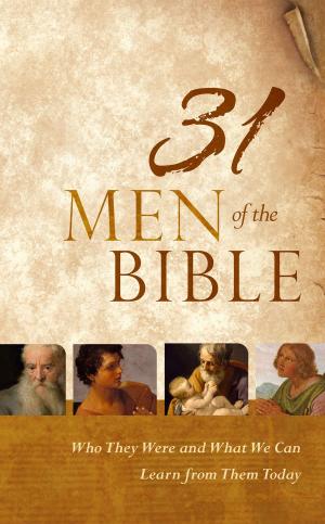 Cover of the book 31 Men of the Bible by Susan Lingo
