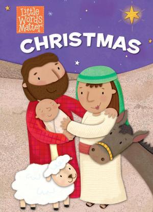 Cover of the book Christmas by Joseph Warren Kniskern, Steve Grissom