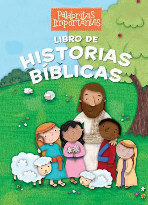 Cover of the book Libro de Historias Bíblicas by Tony Wood