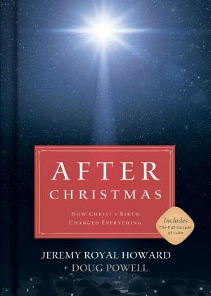 Book cover of After Christmas