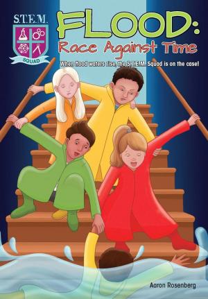 bigCover of the book Flood: Race Against Time by 