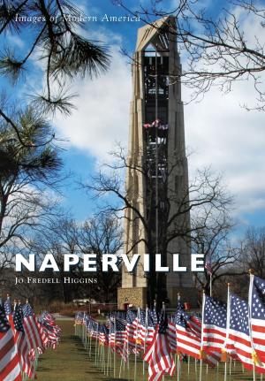 Cover of the book Naperville by Peggi Medeiros