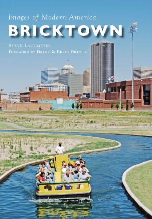 Cover of the book Bricktown by Nancy Allen