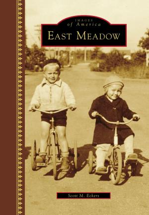 Cover of the book East Meadow by Jim Campbell