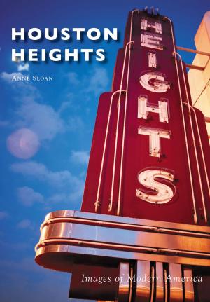 Cover of the book Houston Heights by James E. Mason