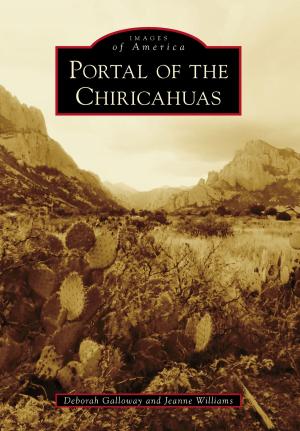 Cover of the book Portal of the Chiricahuas by Paul Powici