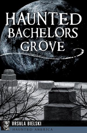bigCover of the book Haunted Bachelors Grove by 