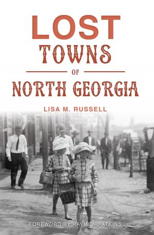 Cover of the book Lost Towns of North Georgia by Susan E. Leath