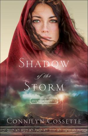 Cover of the book Shadow of the Storm (Out From Egypt Book #2) by Janette Oke, Davis Bunn