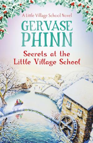 Cover of the book Secrets at the Little Village School by Irene Carr