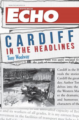 Cover of the book Cardiff in the Headlines by Mike Smylie