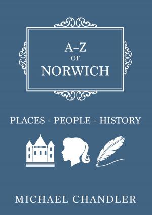 Cover of the book A-Z of Norwich by David Gwynn