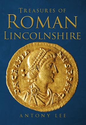Book cover of Treasures of Roman Lincolnshire
