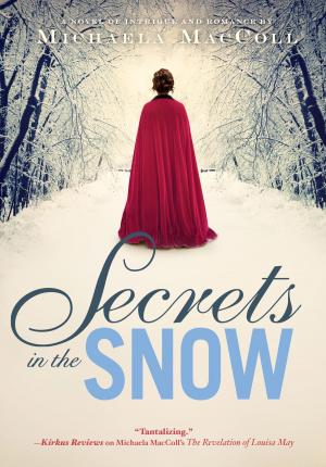 Cover of the book Secrets in the Snow by Scott McNeely
