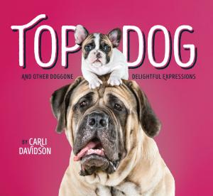 Cover of the book Top Dog by Hadley Higginson