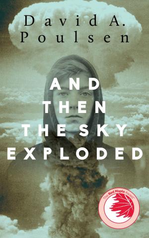 Cover of the book And Then the Sky Exploded by Sergio Kokis
