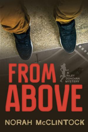 Cover of the book From Above by Mere Joyce
