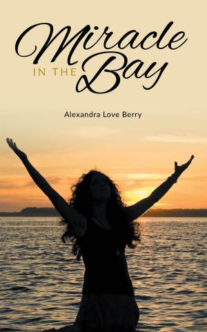 Cover of the book Miracle In The Bay by Cinder Warren