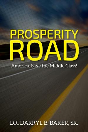 Cover of the book Prosperity Road by Dirk de Vos
