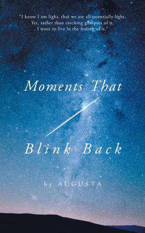 Cover of the book Moments That Blink Back by David J. Garms