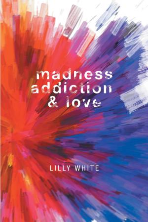 Cover of the book Madness, Addiction & Love by James E. Woods