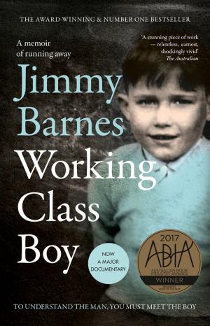 Cover of the book Working Class Boy by Kiesha Joseph