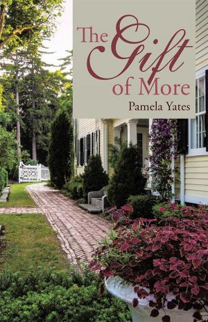 Cover of the book The Gift of More by Brenda L. Parks