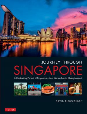 Cover of the book Journey Through Singapore by Chiyo Araki