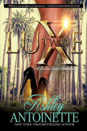 Cover of the book Luxe Two: A LaLa Land Addiction by Robin Lewis, Michael Dart