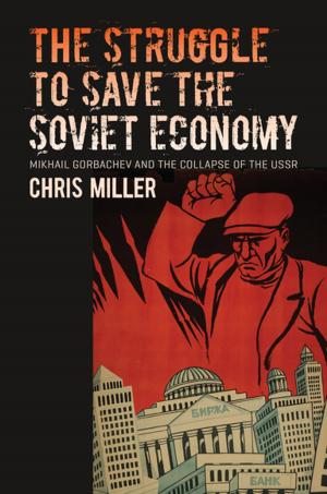 Cover of the book The Struggle to Save the Soviet Economy by Bruce Palmer