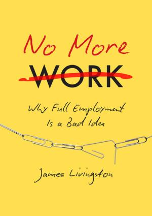 Cover of the book No More Work by Carl C. Schlam