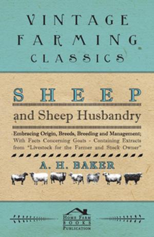 Cover of the book Sheep and Sheep Husbandry - Embracing Origin, Breeds, Breeding and Management; With Facts Concerning Goats - Containing Extracts from Livestock for the Farmer and Stock Owner by M. M. Beeman