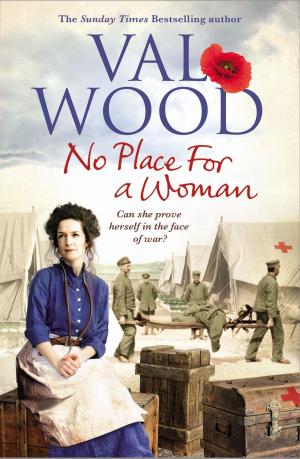 Cover of the book No Place for a Woman by Susan Sallis