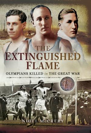 Book cover of The Extinguished Flame