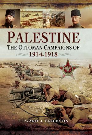 Cover of the book Palestine by Mike Roberts, Bob  Bennett