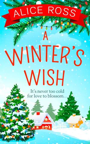 Cover of the book A Winter's Wish (Countryside Dreams, Book 3) by Kat Smutz