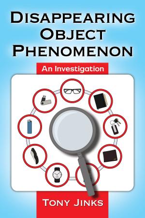 Cover of the book Disappearing Object Phenomenon by John E. Peterson