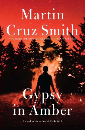 Book cover of Gypsy in Amber