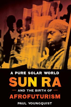 Cover of the book A Pure Solar World by Ronald C. Newton