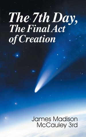 Book cover of Seventh Day, The Final Act of Creation, The