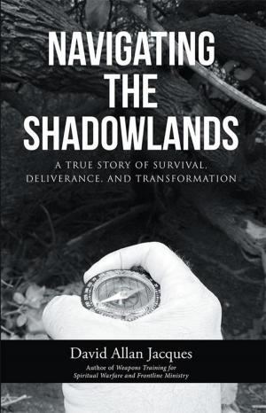 Cover of the book Navigating the Shadowlands by Robert Perinbanayagam