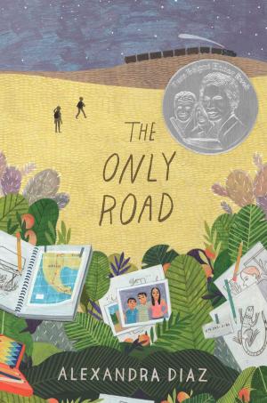 Cover of the book The Only Road by Bryan Berard, Jim Lang