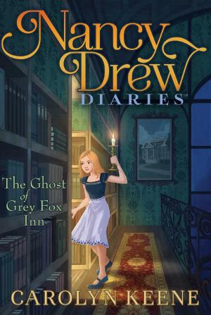 Cover of the book The Ghost of Grey Fox Inn by Carolyn Reeder