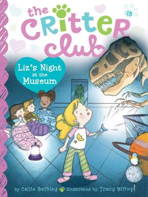 Cover of the book Liz's Night at the Museum by Roberta Graziano