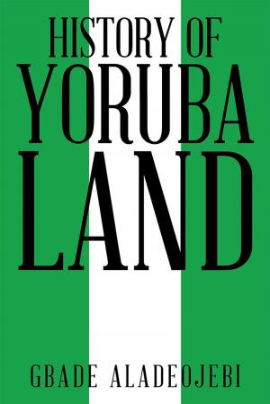 Cover of the book History of Yoruba Land by Daniel van der Merwe