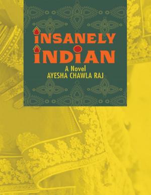 bigCover of the book Insanely Indian: A Novel by 