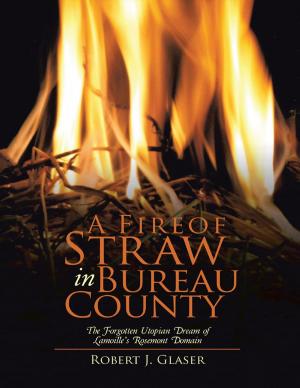 Book cover of A Fire of Straw In Bureau County: The Forgotten Utopian Dream of Lamoille's Rosemont Domain