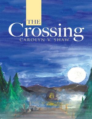 Cover of the book The Crossing by Asemokhai Yakubu