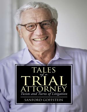 Cover of the book Tales of a Trial Attorney: Twists and Turns of Litigation by David Gerspach