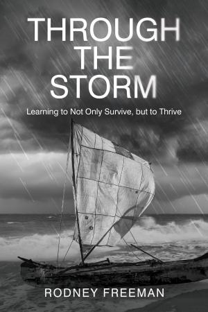 Cover of the book Through the Storm by Lloyd Battista, Tony Anthony, Stephen Jaffe